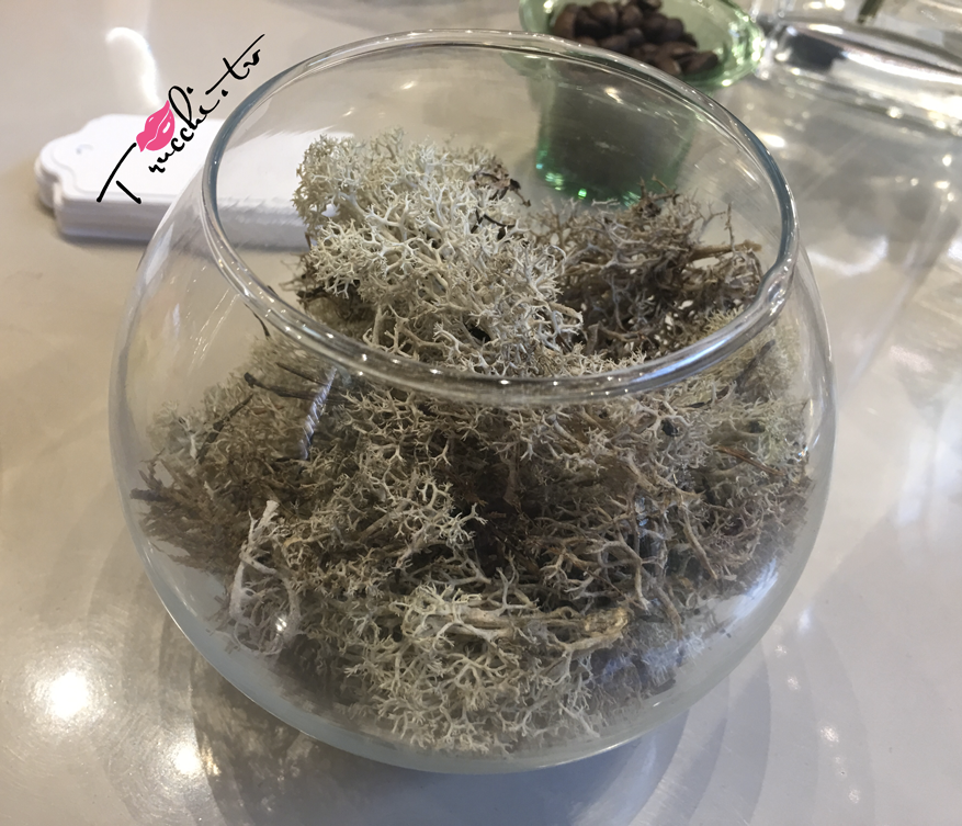 Nuovo Profumo Femminile Coach The Fragrance Nuovo Profumo Femminile Coach The Fragrance