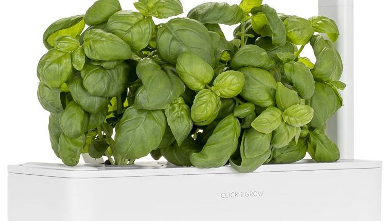 Festa della mamma – Giardino aromatiche
