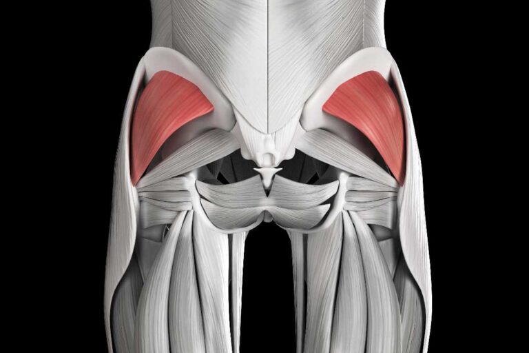 Glutei cosa sono, come allenarli e gli errori da evitare