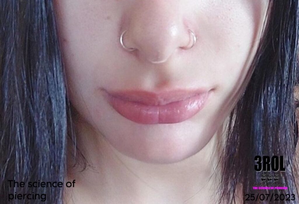 Ferro Di Cavallo Circolare Bilanciere Anello Setto Anello Al - Foto 9