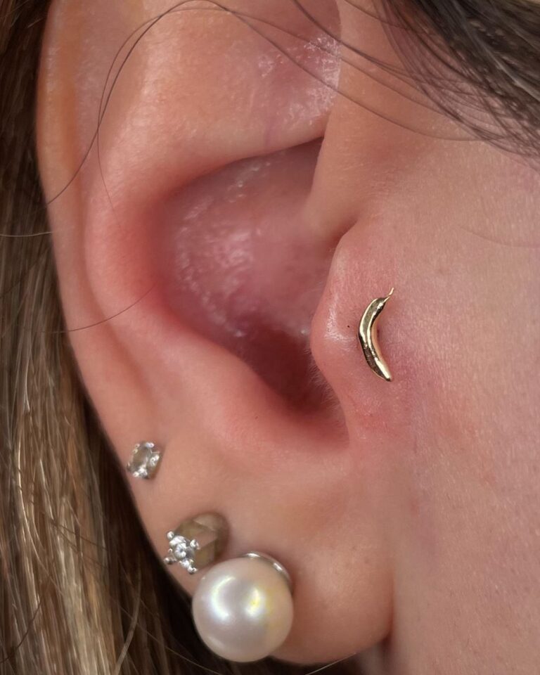 Tappi Per Le Orecchie In Corno, Osso O Acrilico - Flesh Tunnel - Foto 10