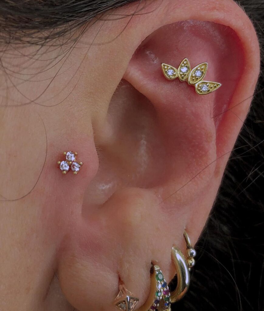 Tappi Per Le Orecchie In Corno, Osso O Acrilico - Flesh Tunnel - Foto 7