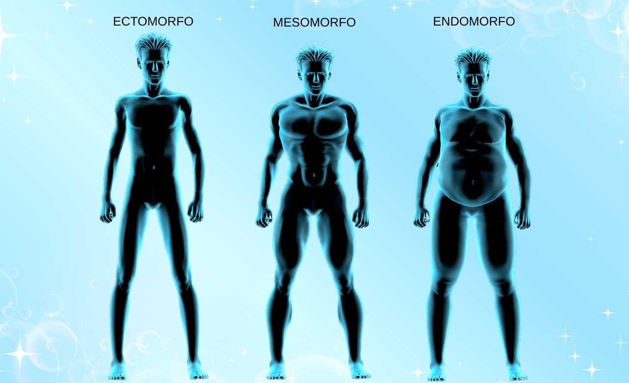 Tipi di fisico Tipi di fisico